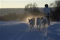 Dog sledge in Tromso. Photo by Terje Rakke, Nordic life/Innovation Norway