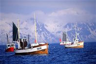 Norwegian coast Lofoten Islands