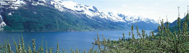 Hardangerfjord photo by Frithjof Fure/Innovation Norway