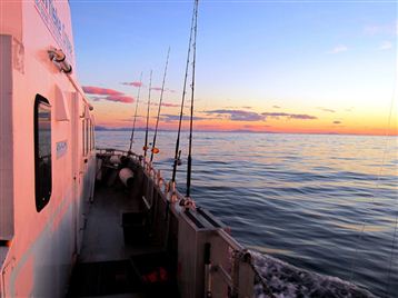 Fishing trip. Photo Soroya Havcruise